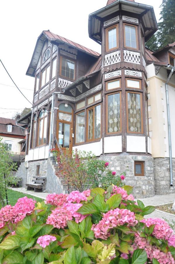 Vila Bradet Busteni Luaran gambar