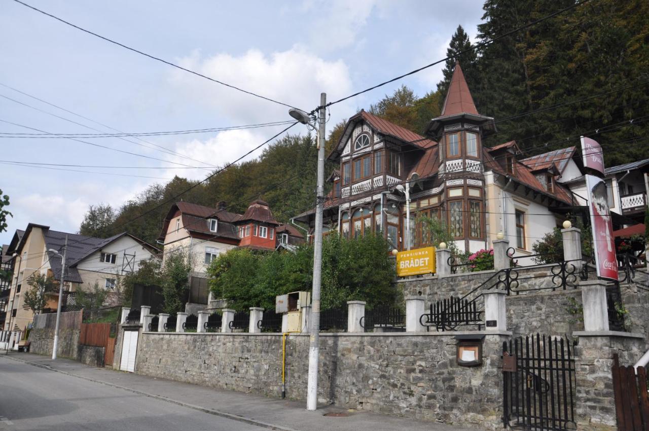 Vila Bradet Busteni Luaran gambar