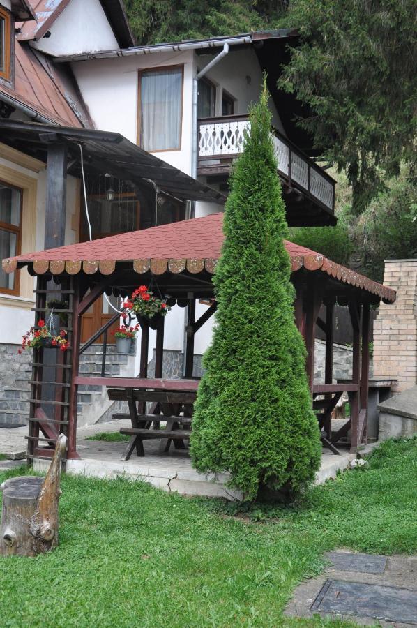 Vila Bradet Busteni Luaran gambar