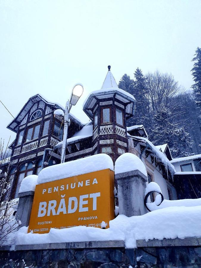 Vila Bradet Busteni Luaran gambar