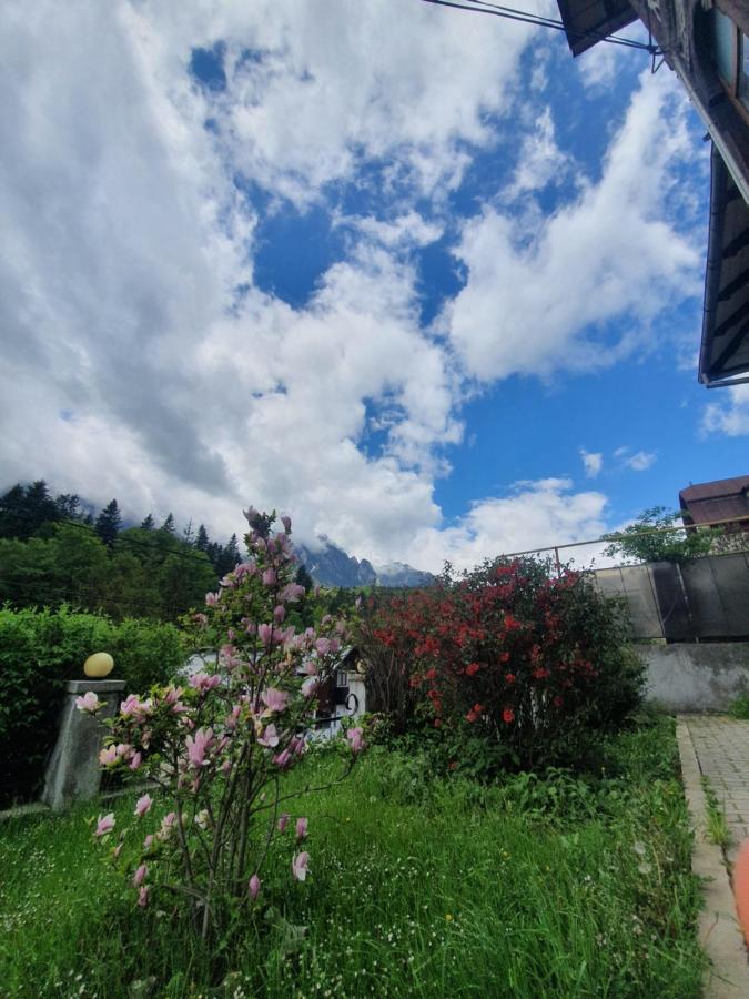 Vila Bradet Busteni Luaran gambar